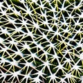 A prickly and sharp texture with thorns and jagged rocks2, Generative AI Royalty Free Stock Photo