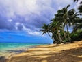 Pricsine pacific island beach with palms under cloudy sky