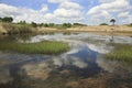 Priddy Pond, Somerset UK Royalty Free Stock Photo