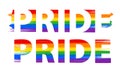 PRIDE lettering in rainbow LGBT flag colors - paint style vector illustration.