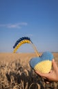 pride and love motherland Ukraine. Independence Day. yellow blue heart with painted spikelets of whea