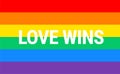 Pride rainbow flag Love Wins typography - vector background