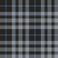 Pride of scotland platinum kilt tartan texture seamless pattern