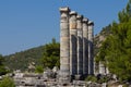 Priene columns