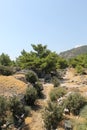 Priene ruins of an ancient antique city