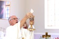 A Priest in a Catholic Church busy with prayer and mass/communion