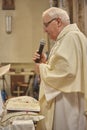 Priest celebrates the liturgy 12