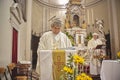 Priest celebrates the liturgy 16