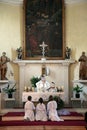 The priest celebrating Mass