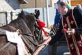 The priest feeds a horse Royalty Free Stock Photo