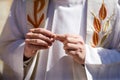 Priest holding wedding rings