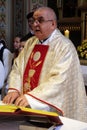 The priest preaches at the Mass on Thanksgiving day in Stitar, Croatia