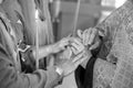 The priest puts the wedding rings on the fingers of the bride and groom in the church. Black and white photo