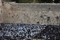 The priestly blessing at the Western Wall in Jerusalem, Israel