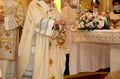 Priests during mass in a Catholic church Royalty Free Stock Photo