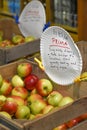 Prima Apples in Wooden Crate