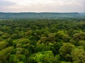 Primal Virgin Forest of Manyara National Park Concervation Area in East Africa, Tanzania. Aerial Shot Royalty Free Stock Photo