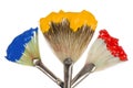 Primary Colors on fan brushes