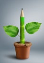 Primary education creative concept, pencil with leaves as stem