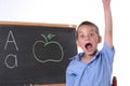 Primary school boy Royalty Free Stock Photo