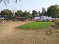 PrimarySchool and green grass in village