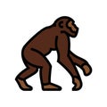 primate ancestors human evolution color icon illustration