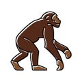 primate ancestors human evolution color icon illustration