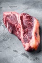 Prime cut tender raw t bone steak for a BBQ, on gray stone background Royalty Free Stock Photo
