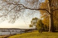 A prime location with an empty wooden bench under trees with autumn colors at sunset