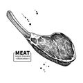 Prime rib vector drawing. Beef, pork or lamb Red meat hand drawn sketch. Royalty Free Stock Photo