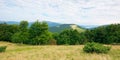 Primeval beech forest in mountains Royalty Free Stock Photo