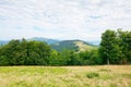 primeval beech forest in mountains Royalty Free Stock Photo