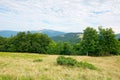 Primeval beech forest in mountains Royalty Free Stock Photo