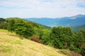 primeval beech forest in mountains