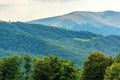 Primeval beech forests of carpathian mountains