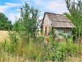 Primitive abandoned house in a wheat field