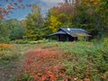 Primitive cabin at Lake Katahdin, Maine, in early fall surrounded by brilliant fall foliage Royalty Free Stock Photo