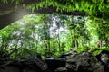 A primitive cave in the deep tropical forest