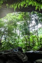 A primitive cave in the deep tropical forest