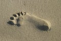 Primitive Footprint In Sand Royalty Free Stock Photo