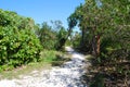 Primitive hiking trail