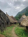 Primitive Jungle Village and Huts Royalty Free Stock Photo