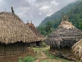 Primitive Jungle Village and Huts Royalty Free Stock Photo