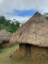 Primitive Jungle Village and Huts Royalty Free Stock Photo