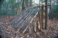 Primitive Lean to Survival Shelter in the forest. Makeshift campsite in the wilderness. Essential bushcraft skill Royalty Free Stock Photo