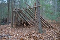 Primitive Lean to Survival Shelter in the forest. Makeshift campsite in the wilderness. Essential bushcraft skill