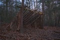 Primitive Lean to Survival Shelter in the forest.  Makeshift campsite in the wilderness. Essential bushcraft skill Royalty Free Stock Photo