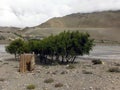 Primitive Rural Toilet in Himalayas