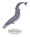 Basilosaurus Royalty Free Stock Photo