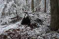 Primitive Winter A Frame Survival Shelter in the Blue Ridge Mountains near Asheville, North Carolina. Bushcraft camp setup in the Royalty Free Stock Photo